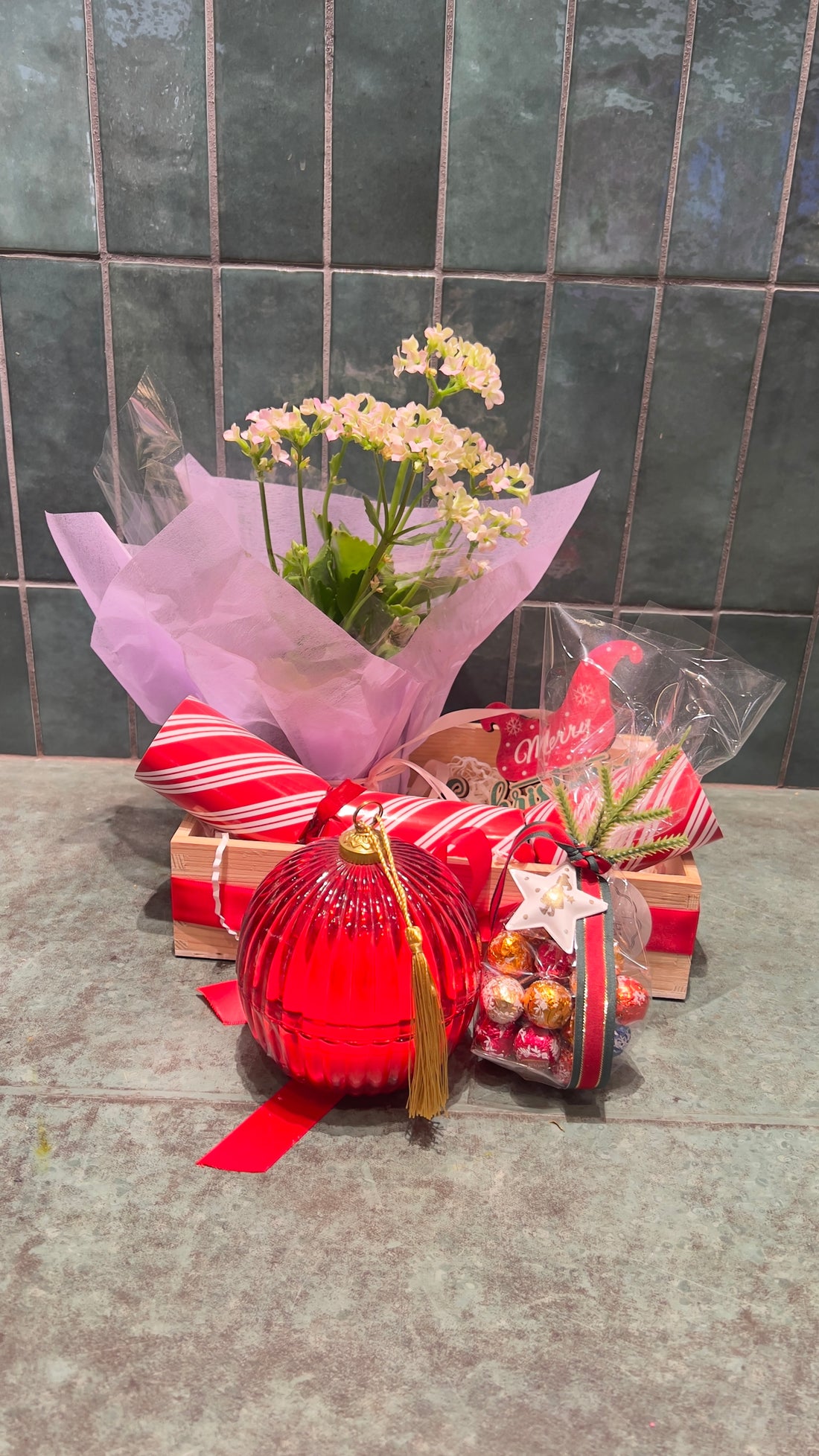 Christmas Plant Hamper