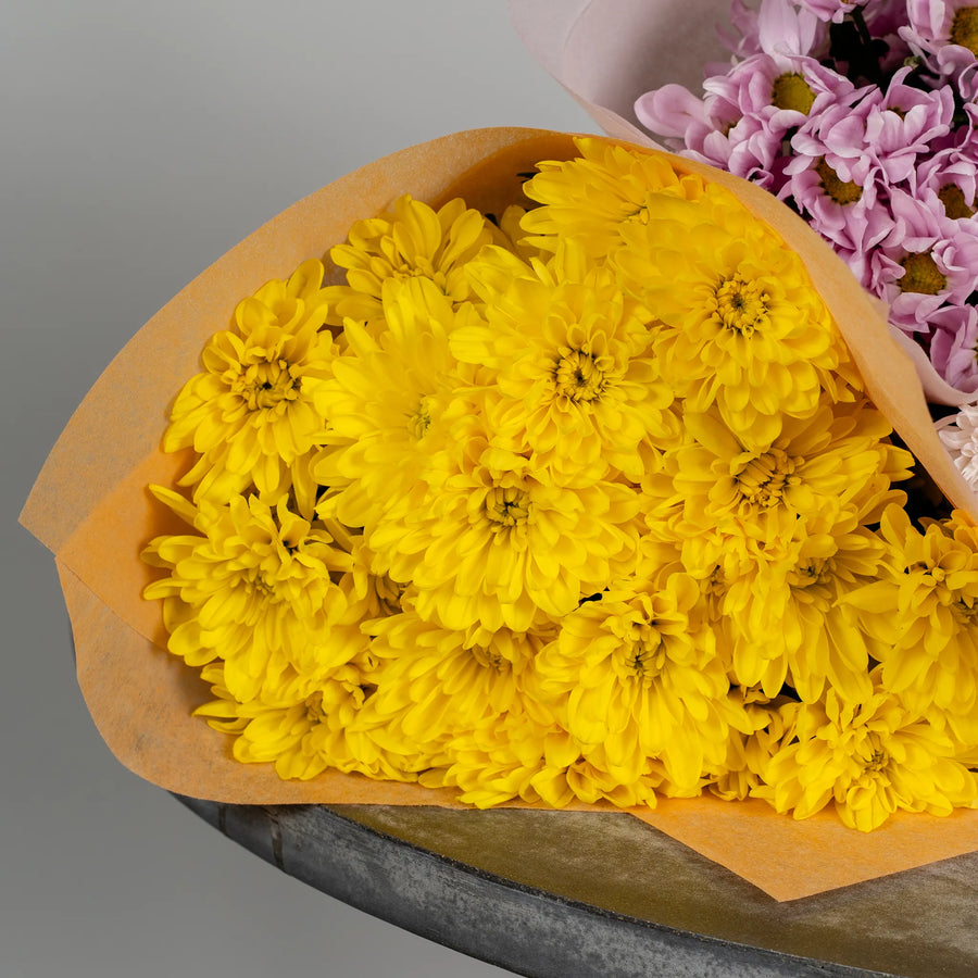 Timeless Daisy Chrysanthemums