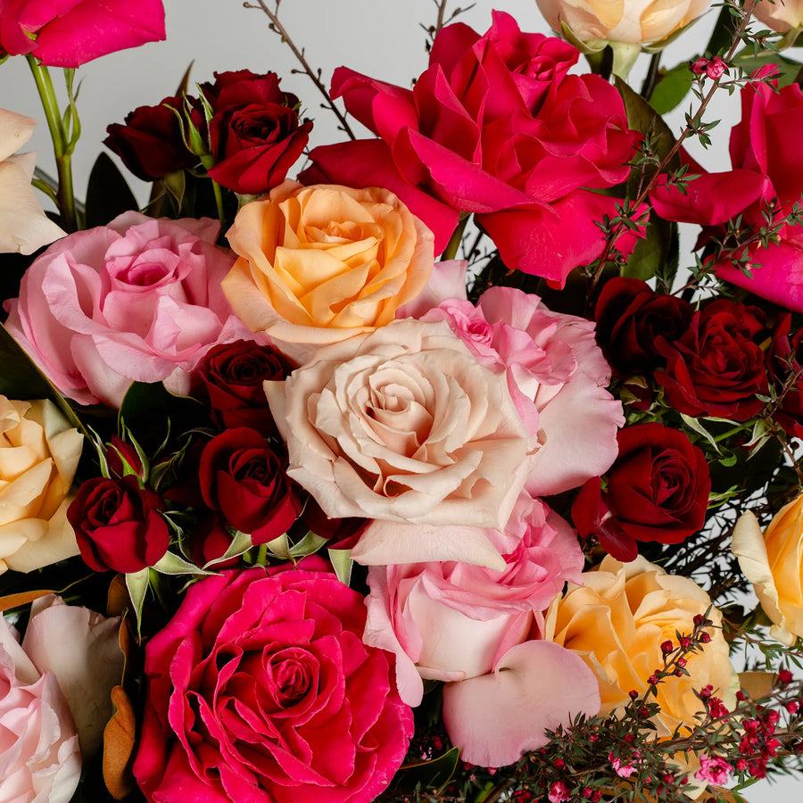 Love Burst (Vase Included)