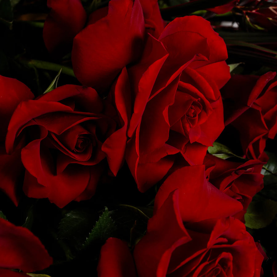 Abundance of Love