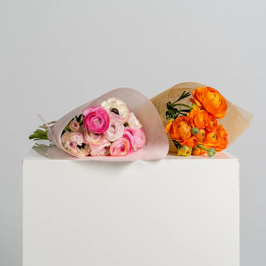 Ranunculus Reverie