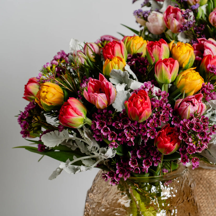 Tulip Parade (inc vase)
