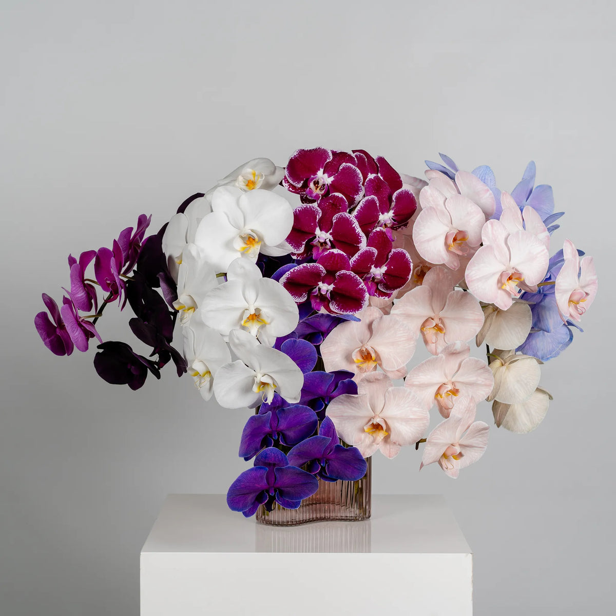 Market Blooms