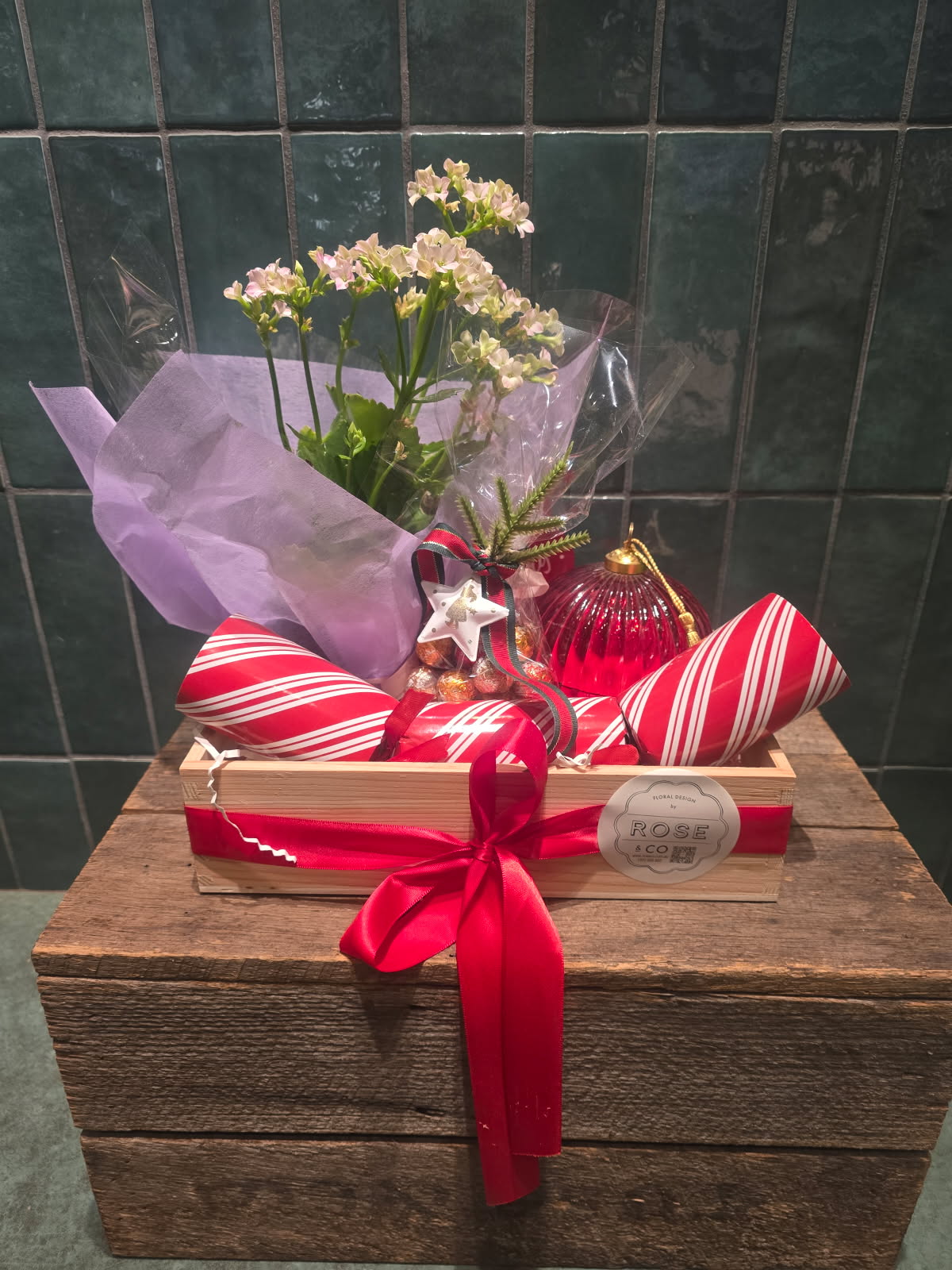 Christmas Plant Hamper