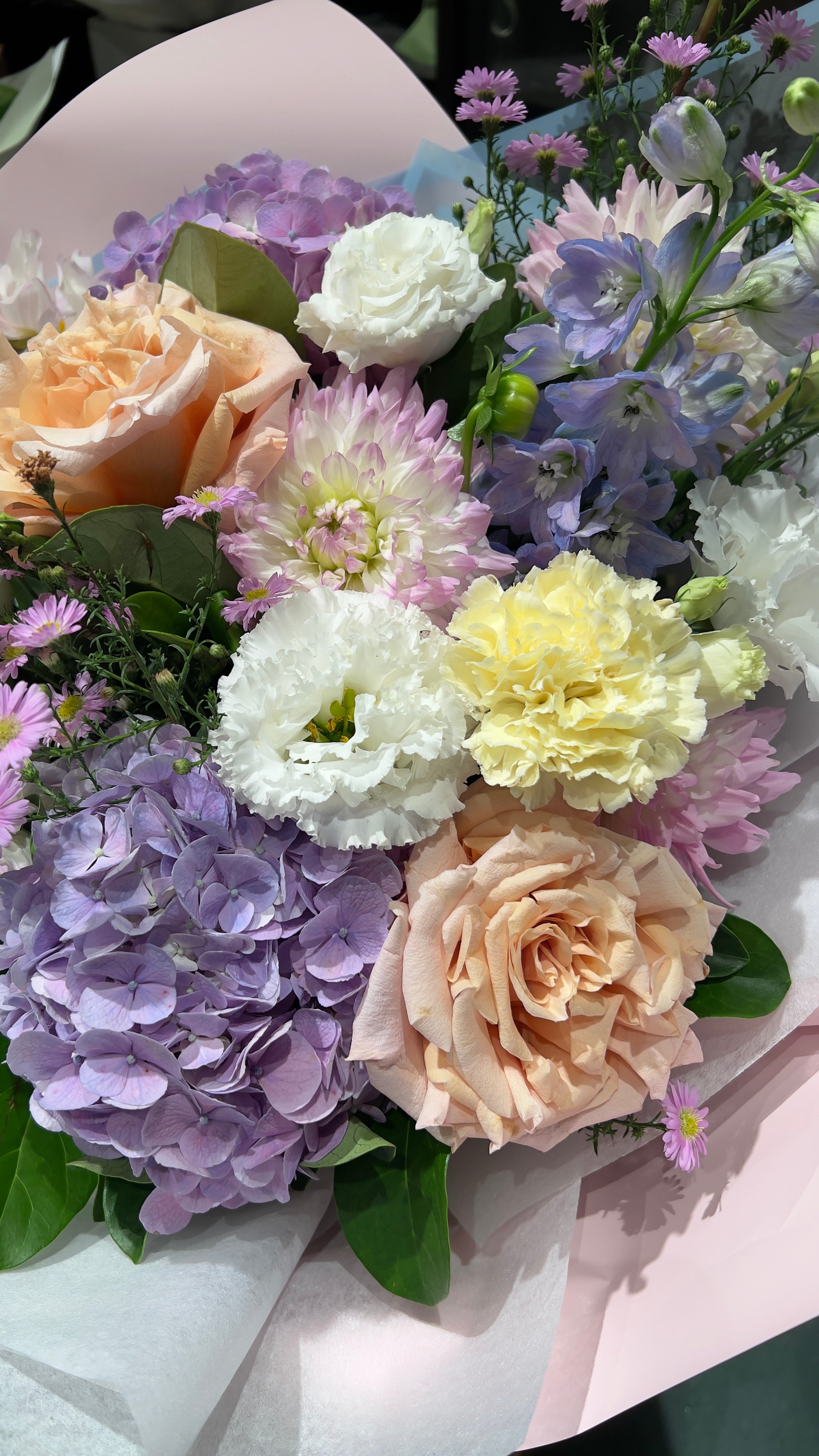 Blushing Blooms