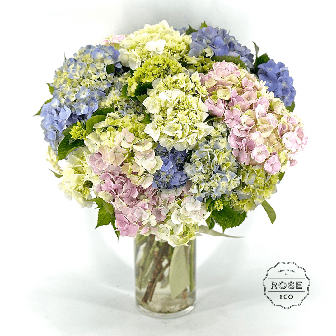 Hydrangea (Vase included) - ROSE &amp; CO