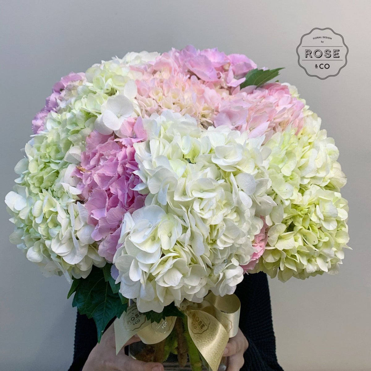 Hydrangea (Vase included) - ROSE &amp; CO