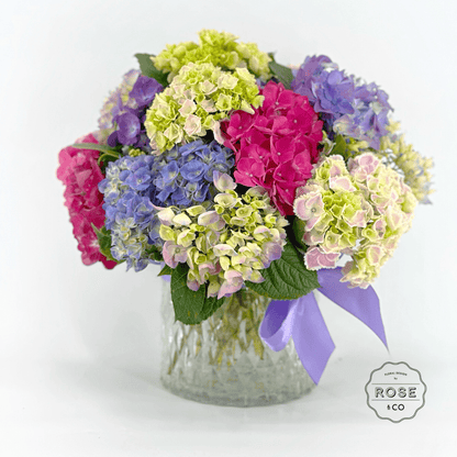 Hydrangea (Vase included) - ROSE &amp; CO