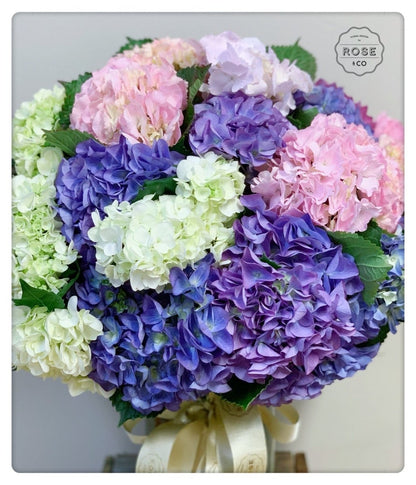 Hydrangea (Vase included) - ROSE &amp; CO