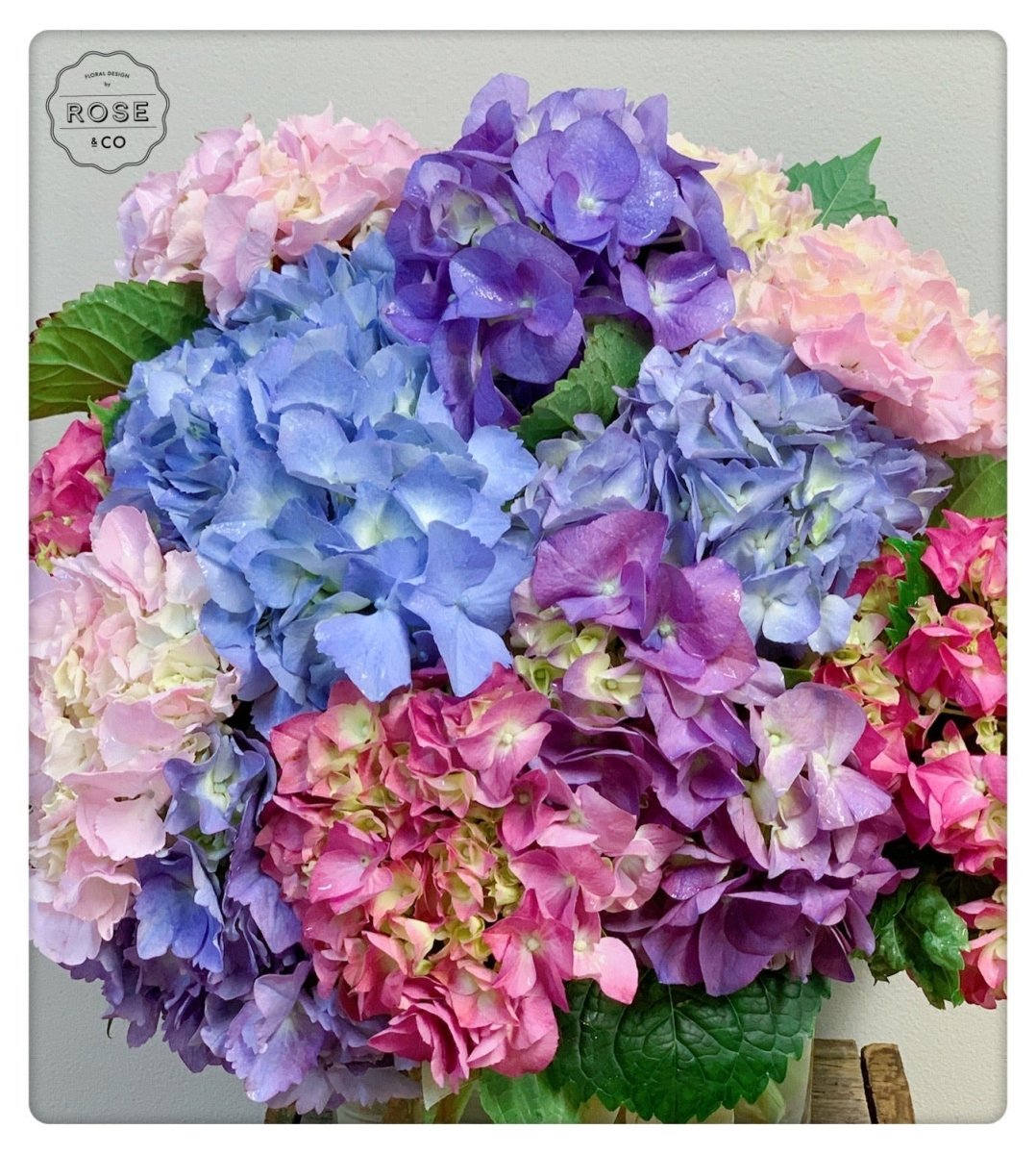 Hydrangea (Vase included) - ROSE &amp; CO