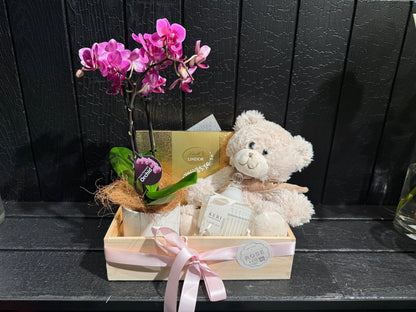 Orchid Plant Hamper - ROSE &amp; CO