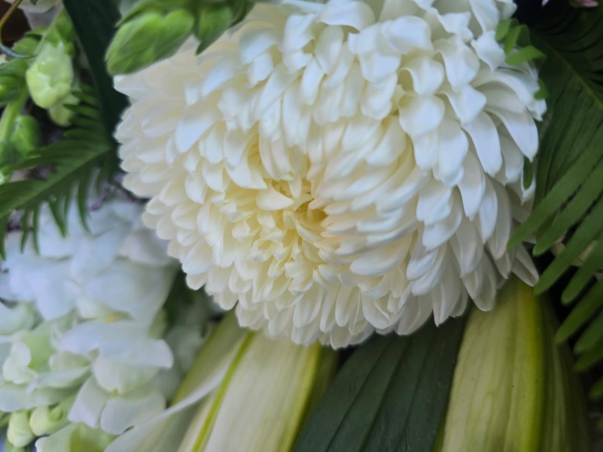 Purity - ROSE &amp; CO