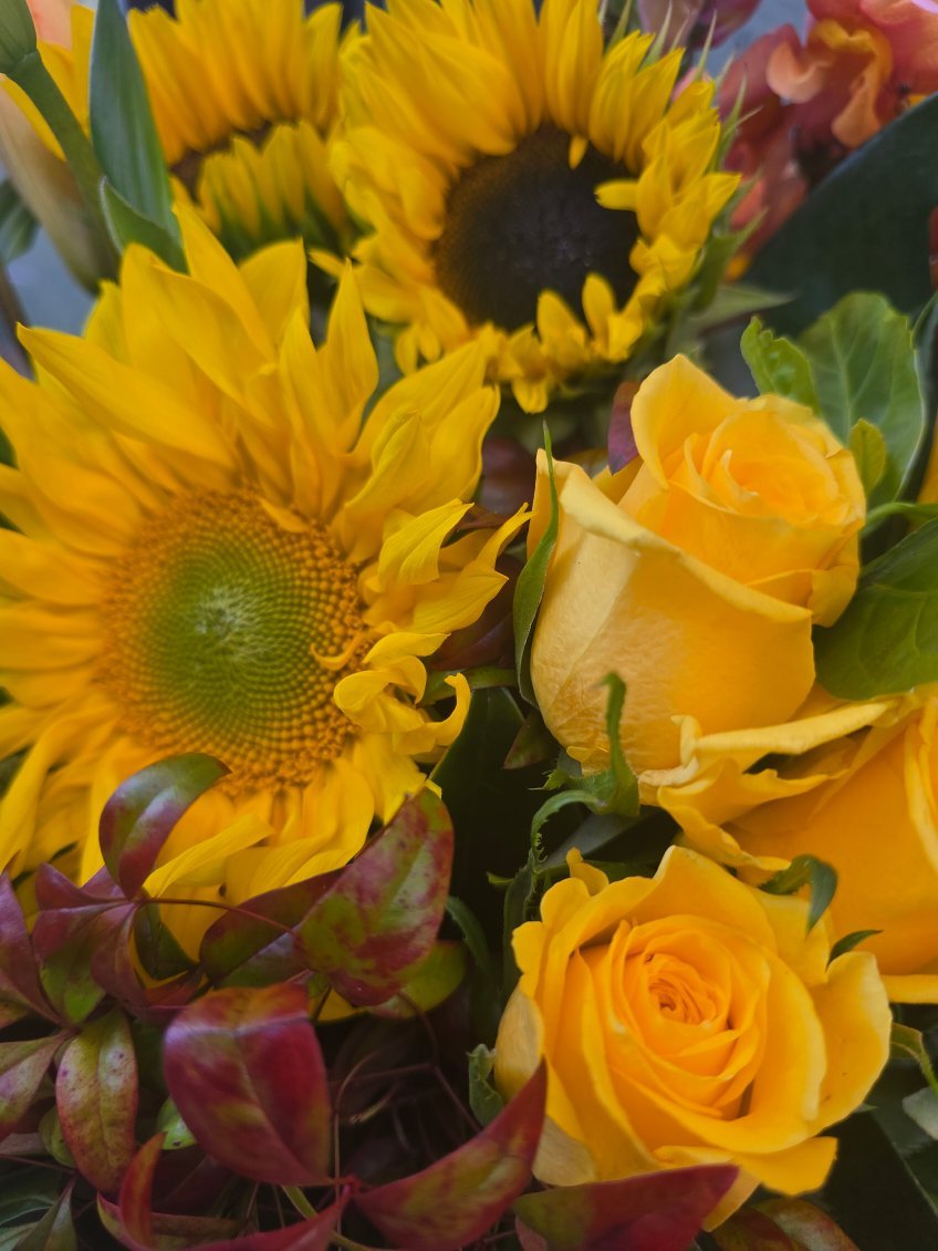 Ray of Sunshine (inc Vase) - ROSE &amp; CO