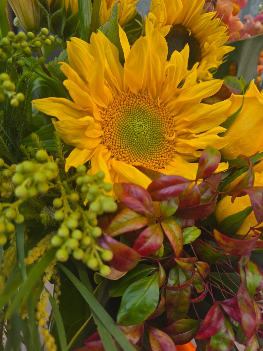 Ray of Sunshine (inc Vase) - ROSE &amp; CO