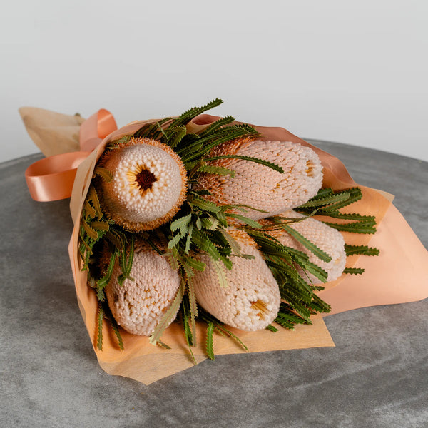 Banksia by the bunch
