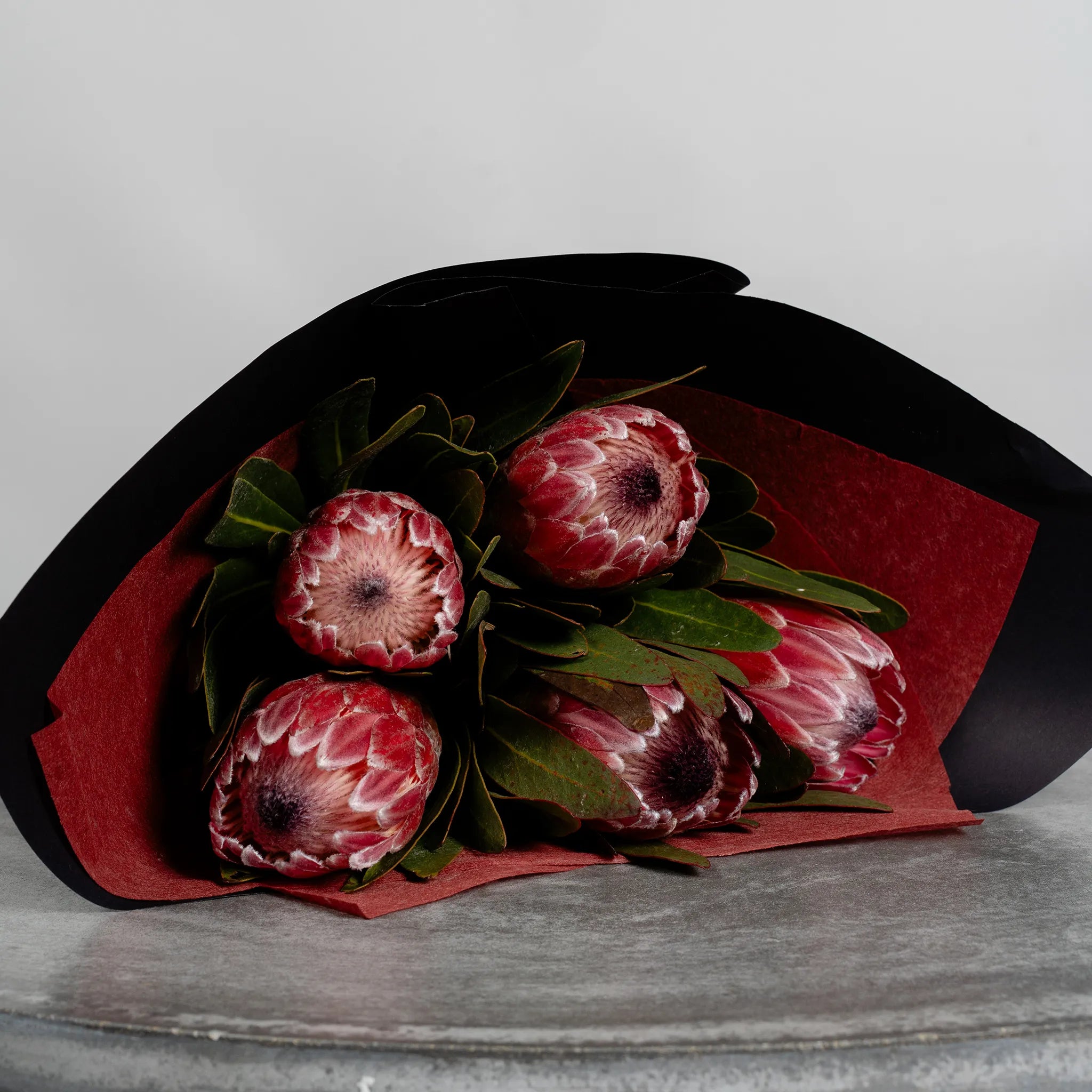 Pink Ice Proteas by the bunch