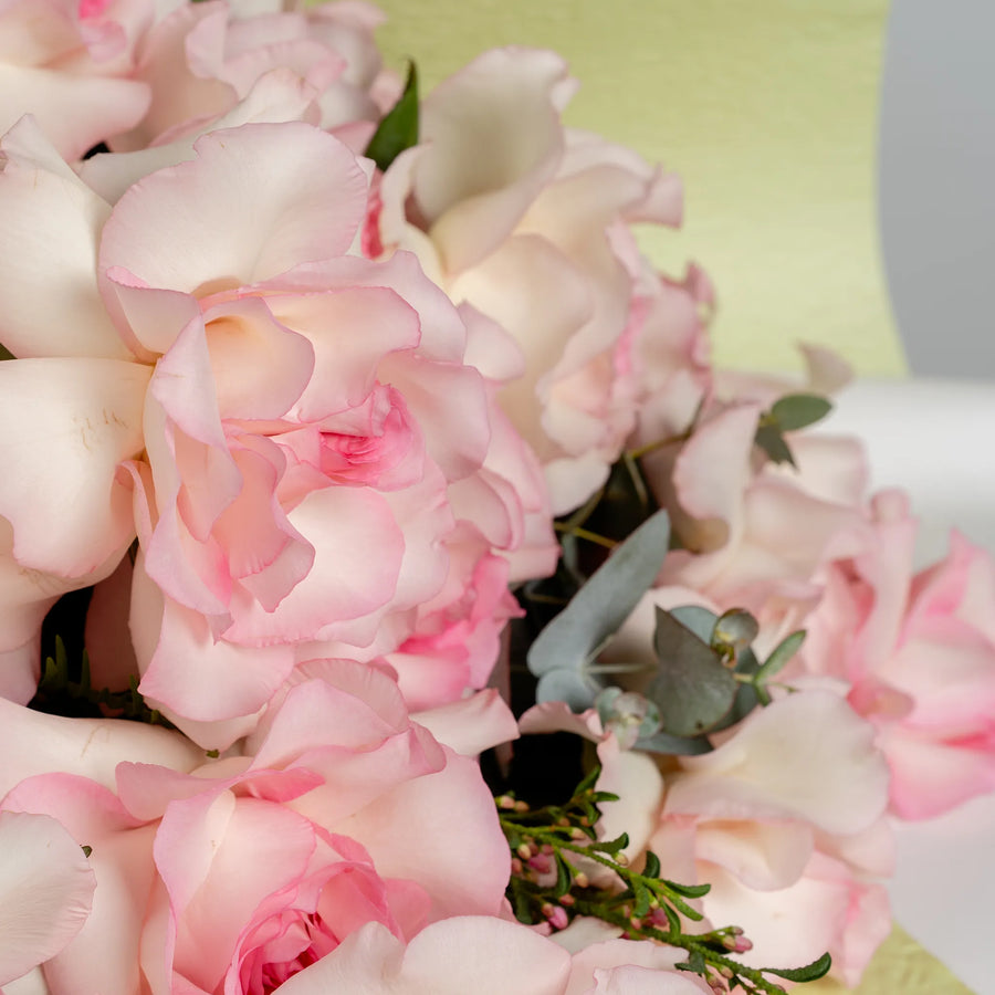 Pink Perfection