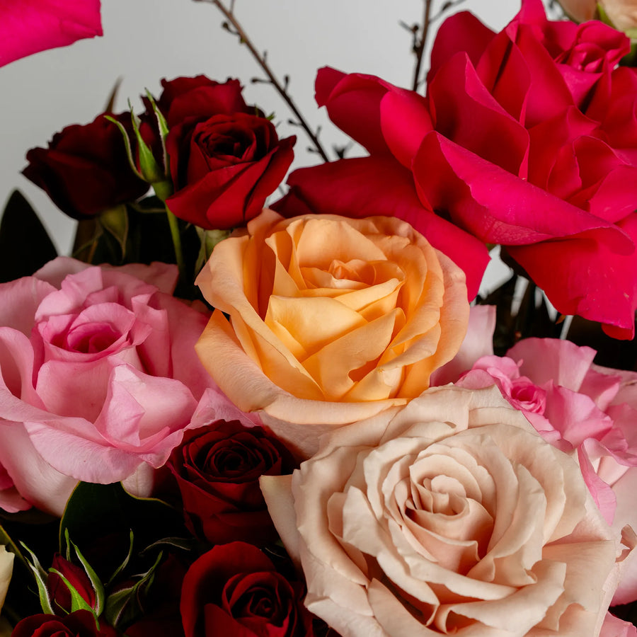 Love Burst (Vase Included)