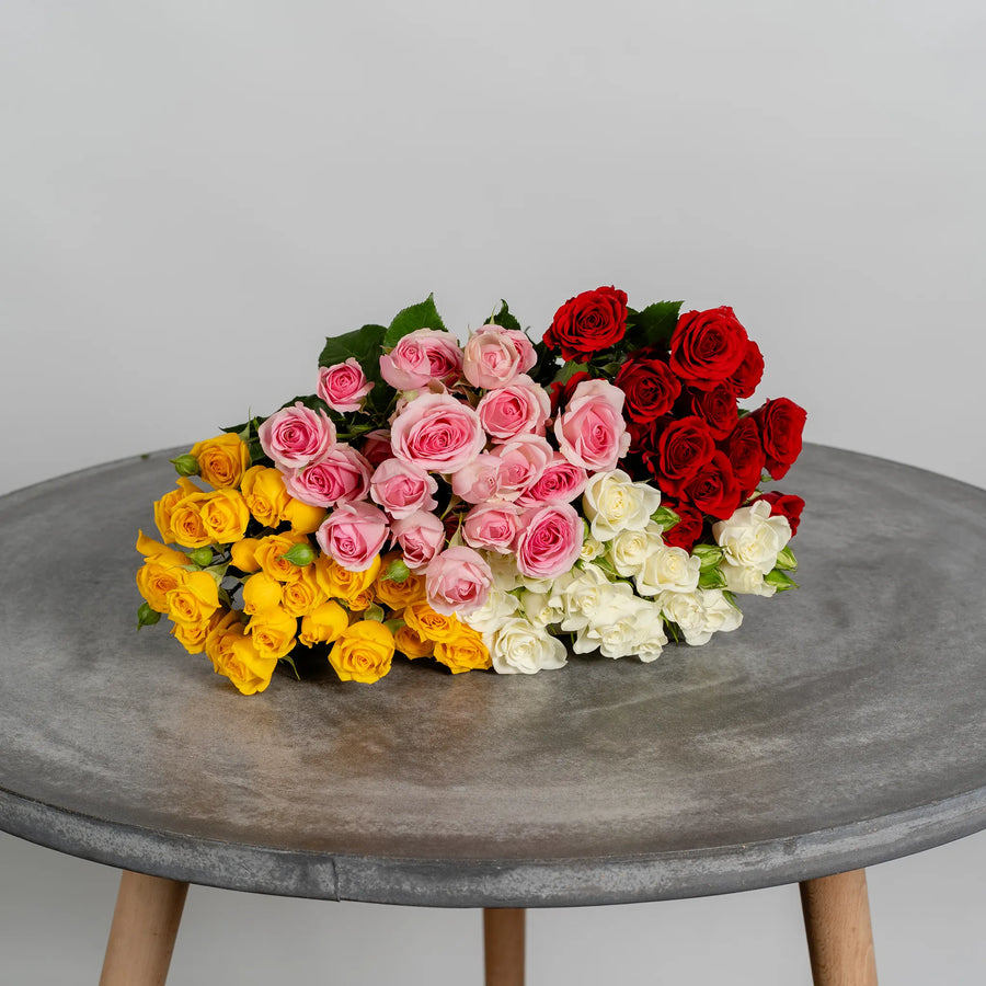 Spray Roses