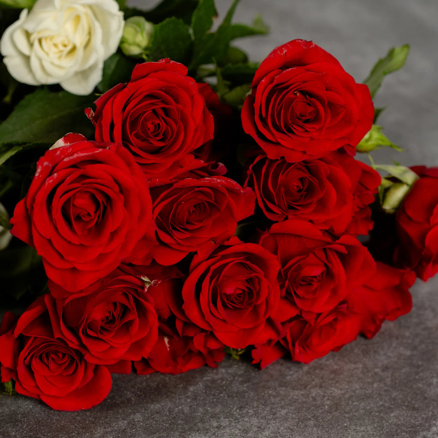 Spray Roses