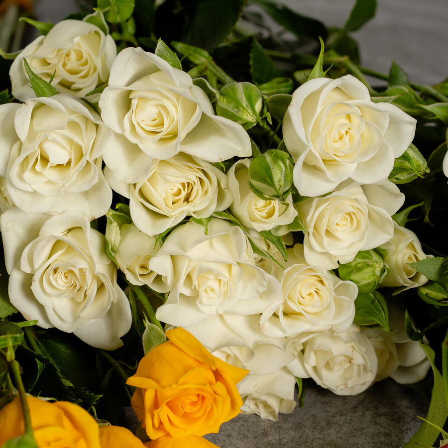 Spray Roses