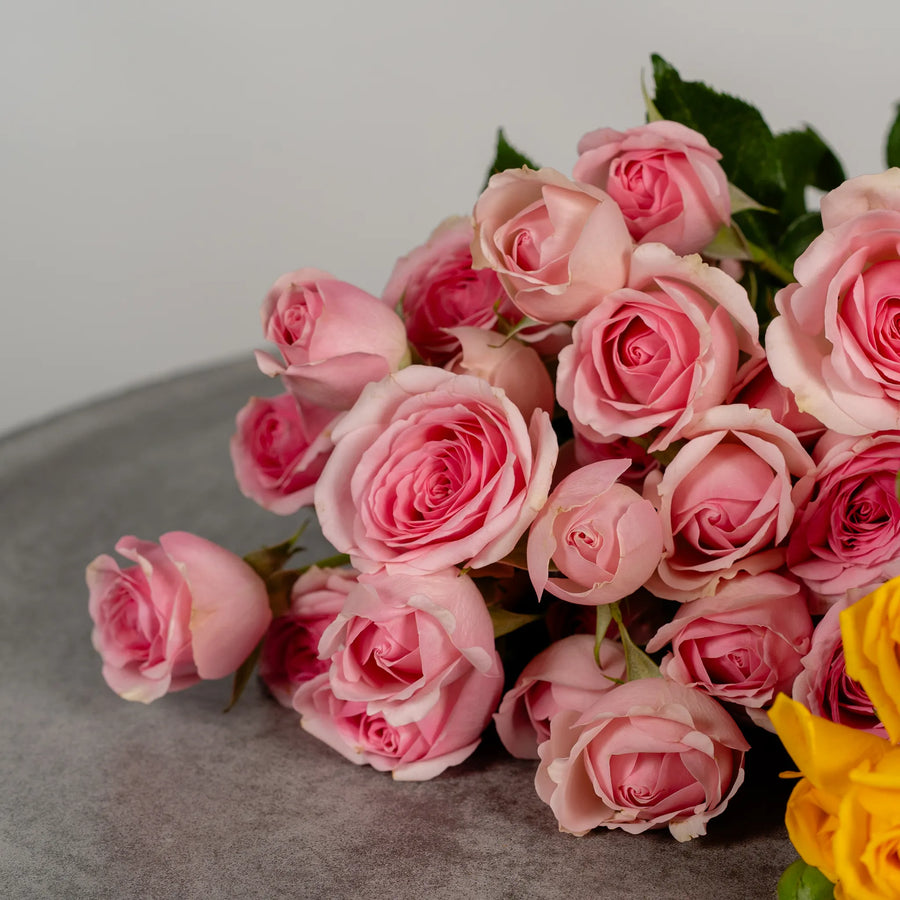 Spray Roses