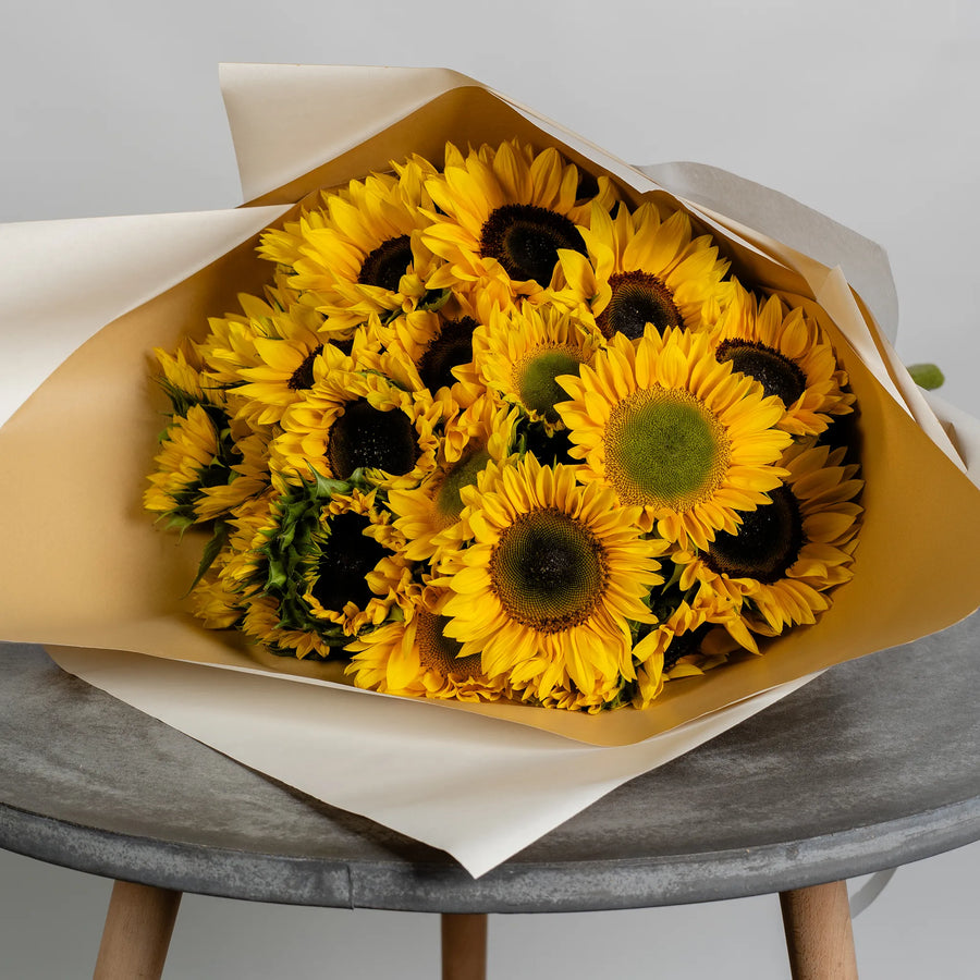 Snuggle with Sunflowers