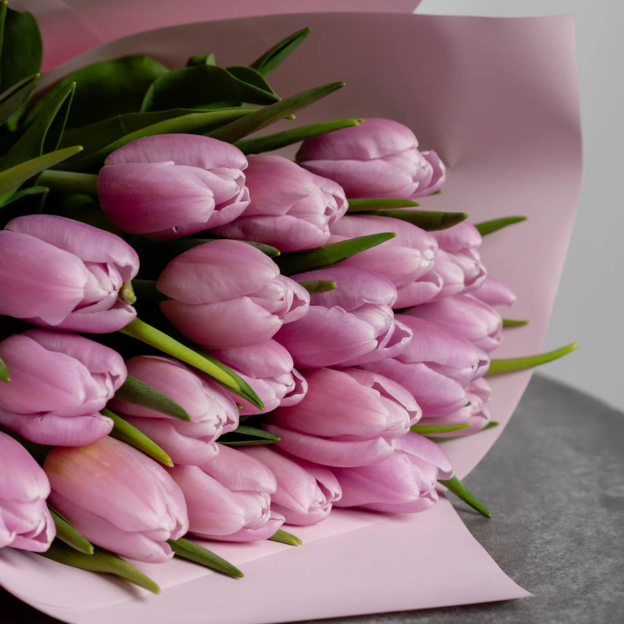 Tulip Mania