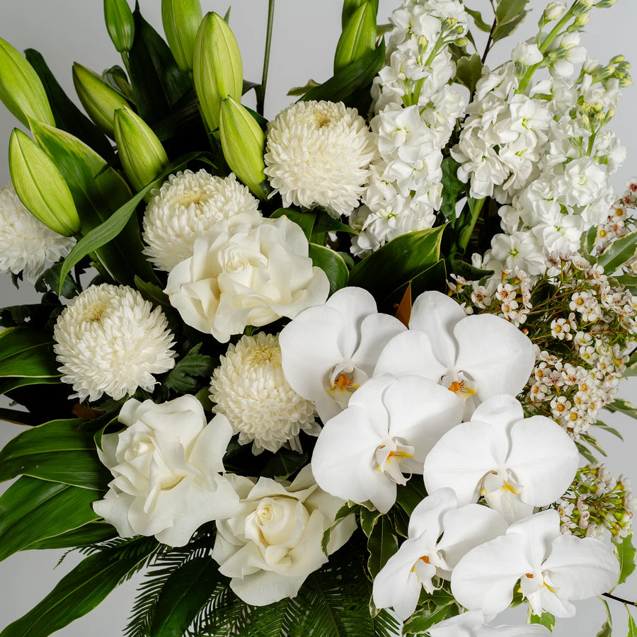 White Willow (Vase Included)