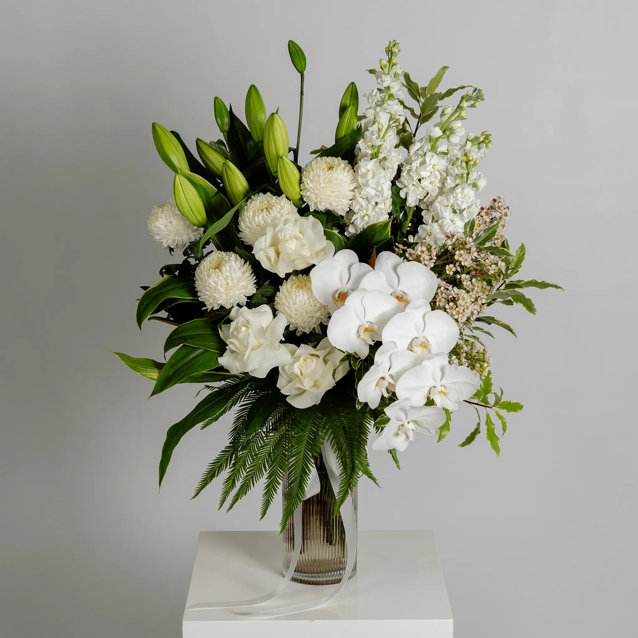 White Willow (Vase Included)