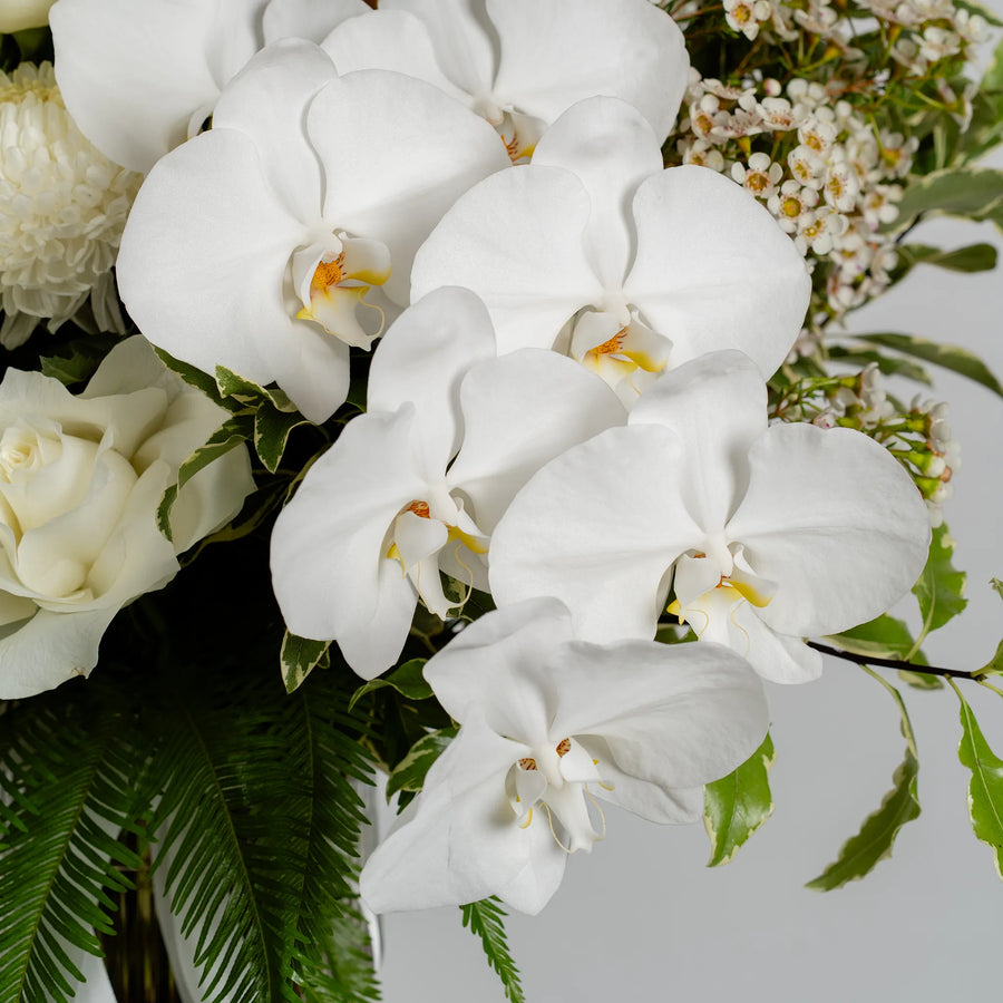 White Willow (Vase Included)