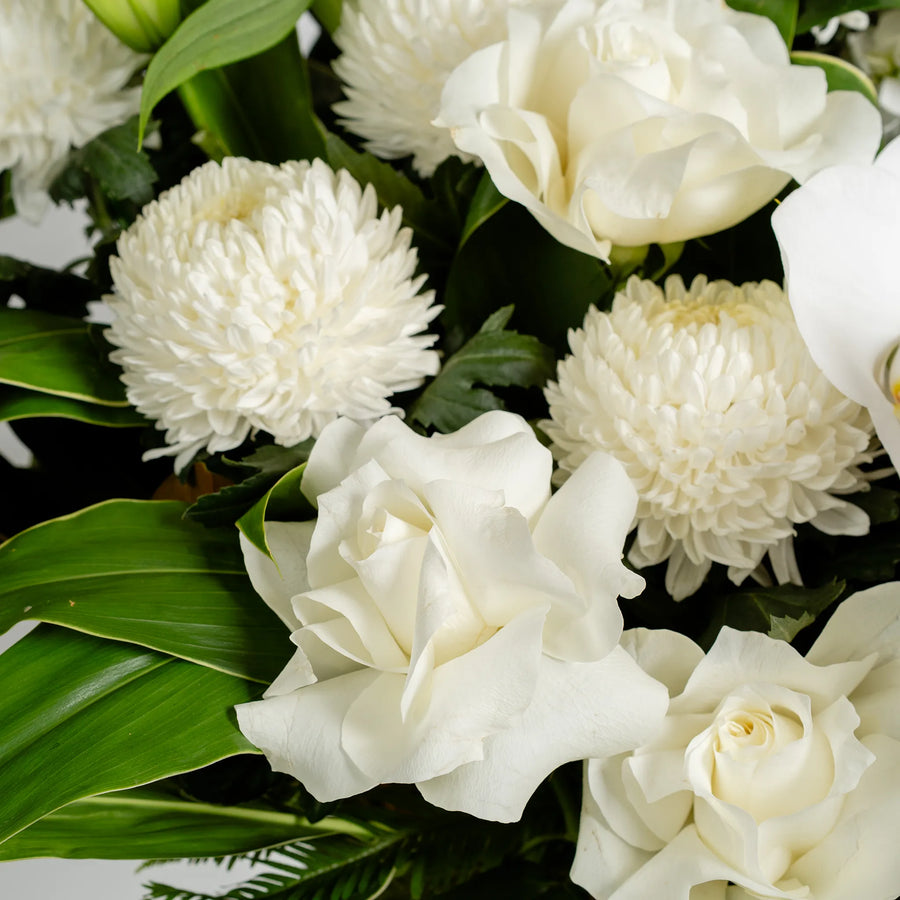 White Willow (Vase Included)