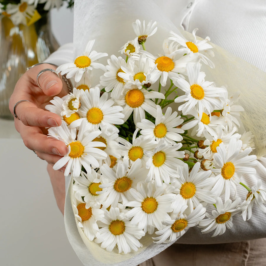 Darling Daisy