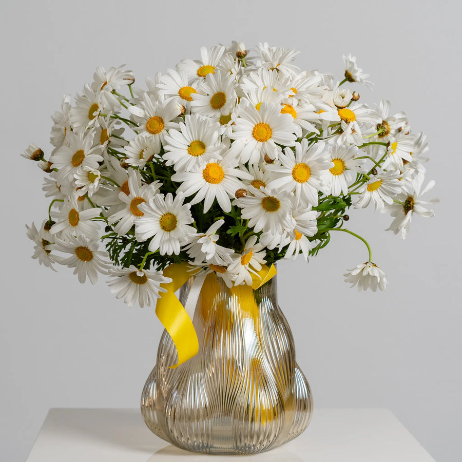 Darling Daisy