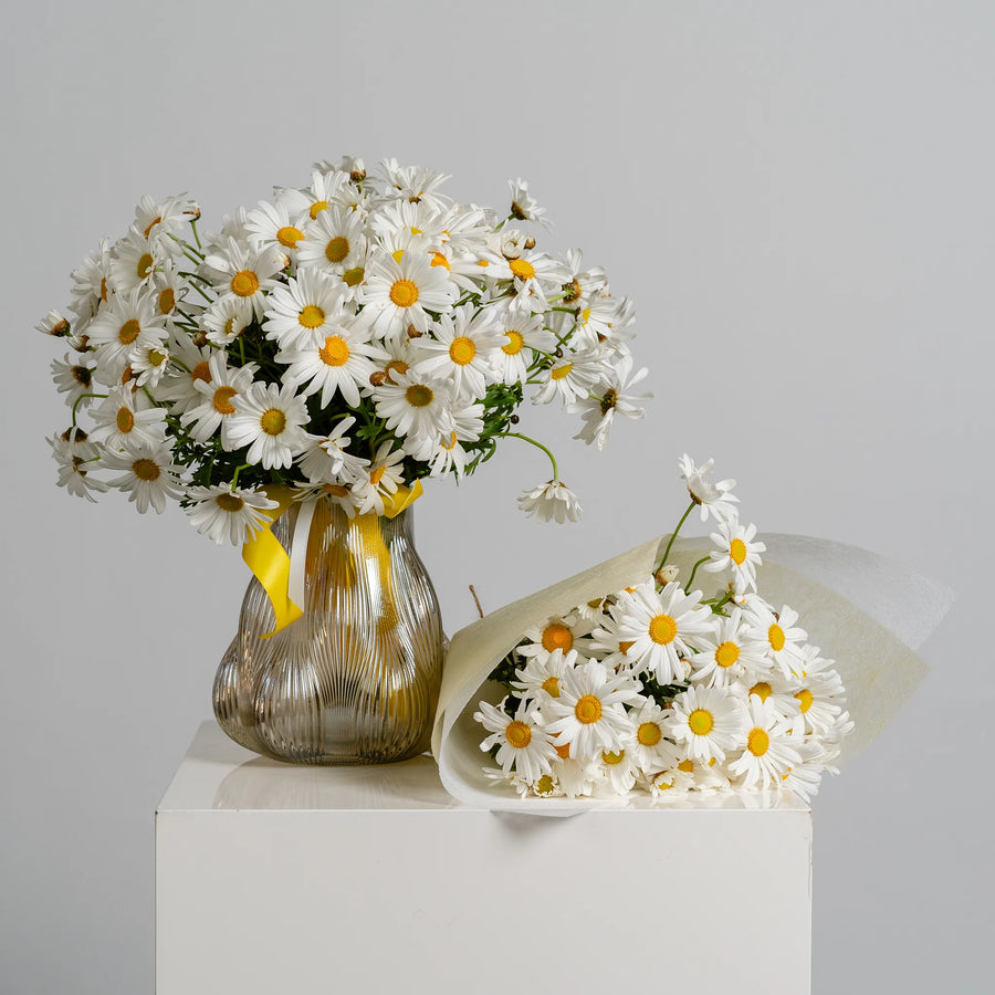 Darling Daisy