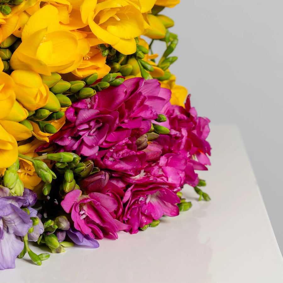 Freesia Affair