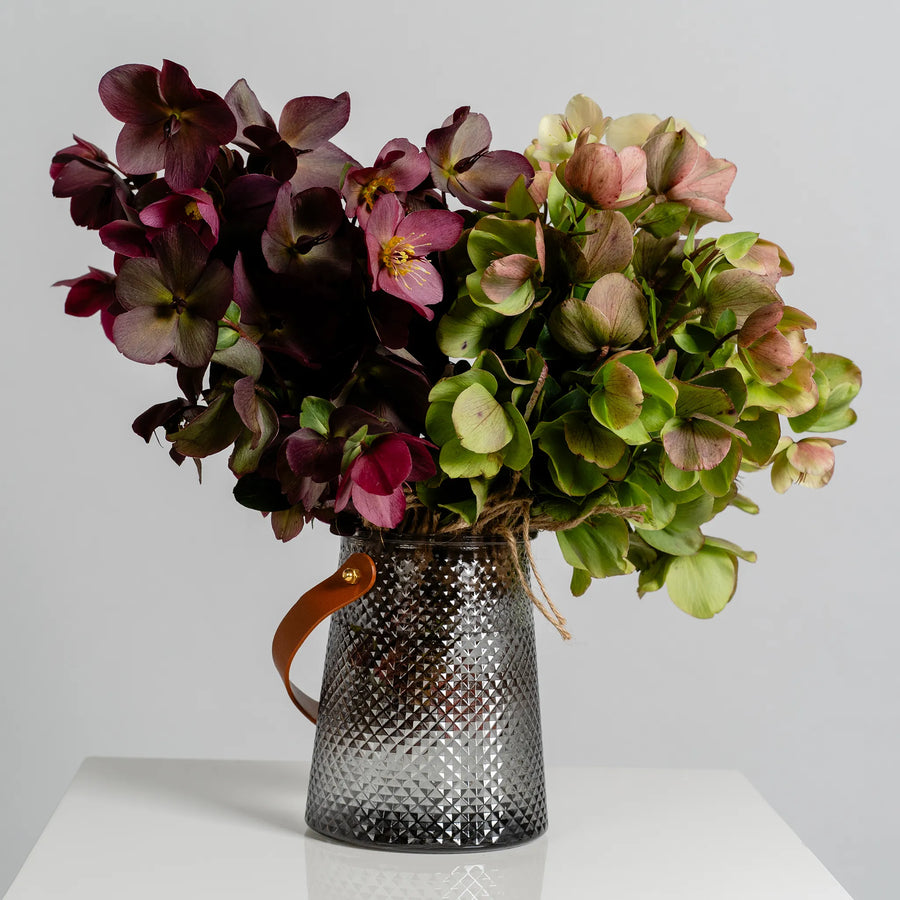 Hellebores