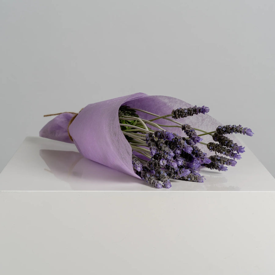 Lavender Lane