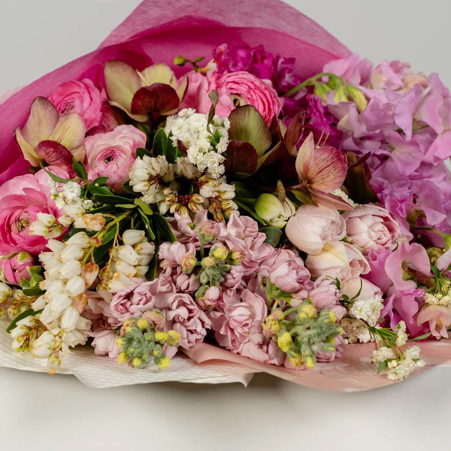 Kiss of Spring