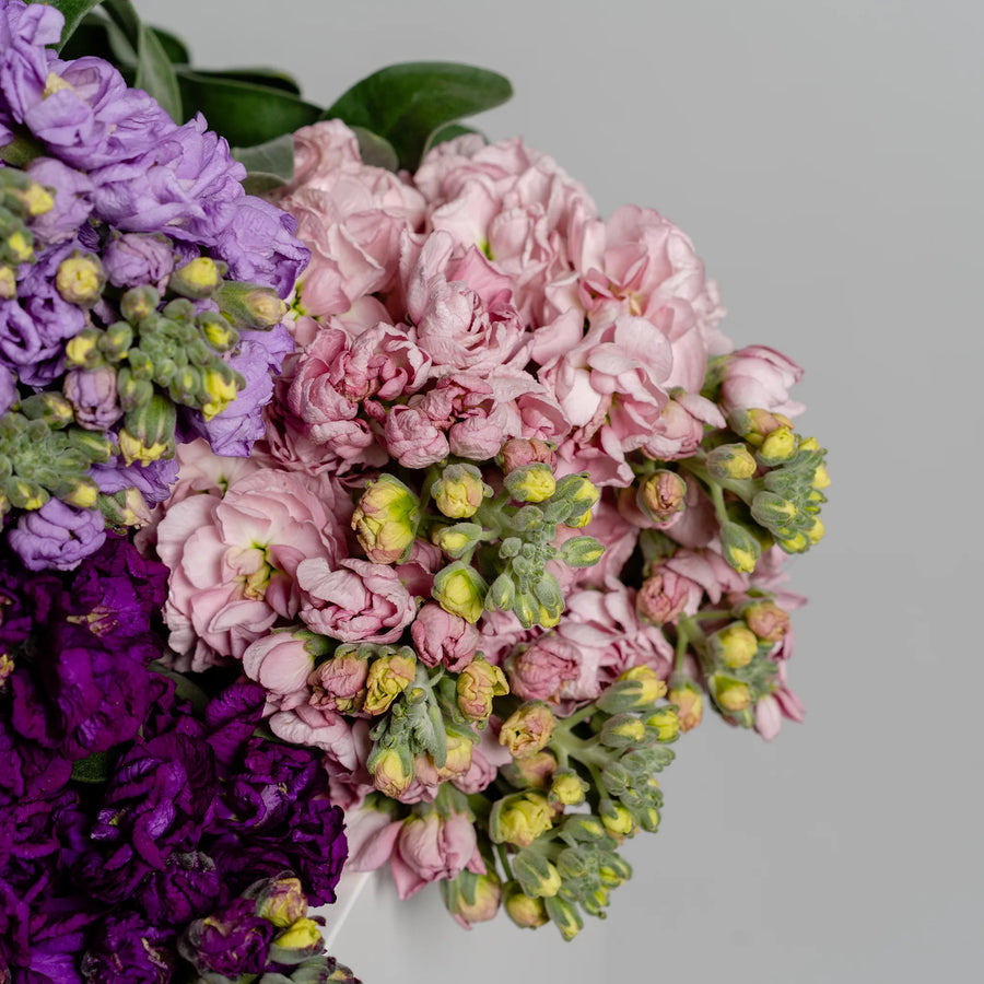 Stock in Bloom