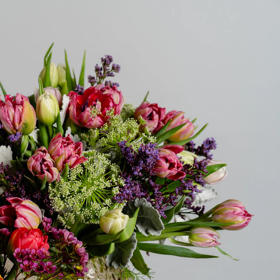 Tulip Parade (inc vase)